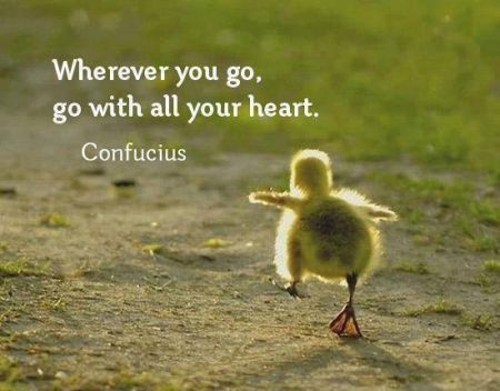 go with all your heart