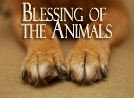 blessing-of-animals